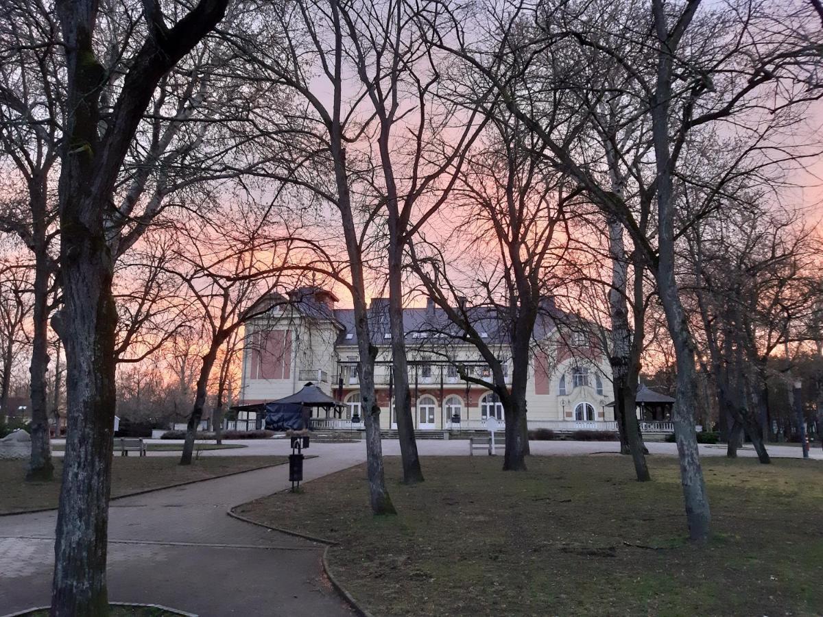 Renata Apartman Nyíregyháza Exterior foto